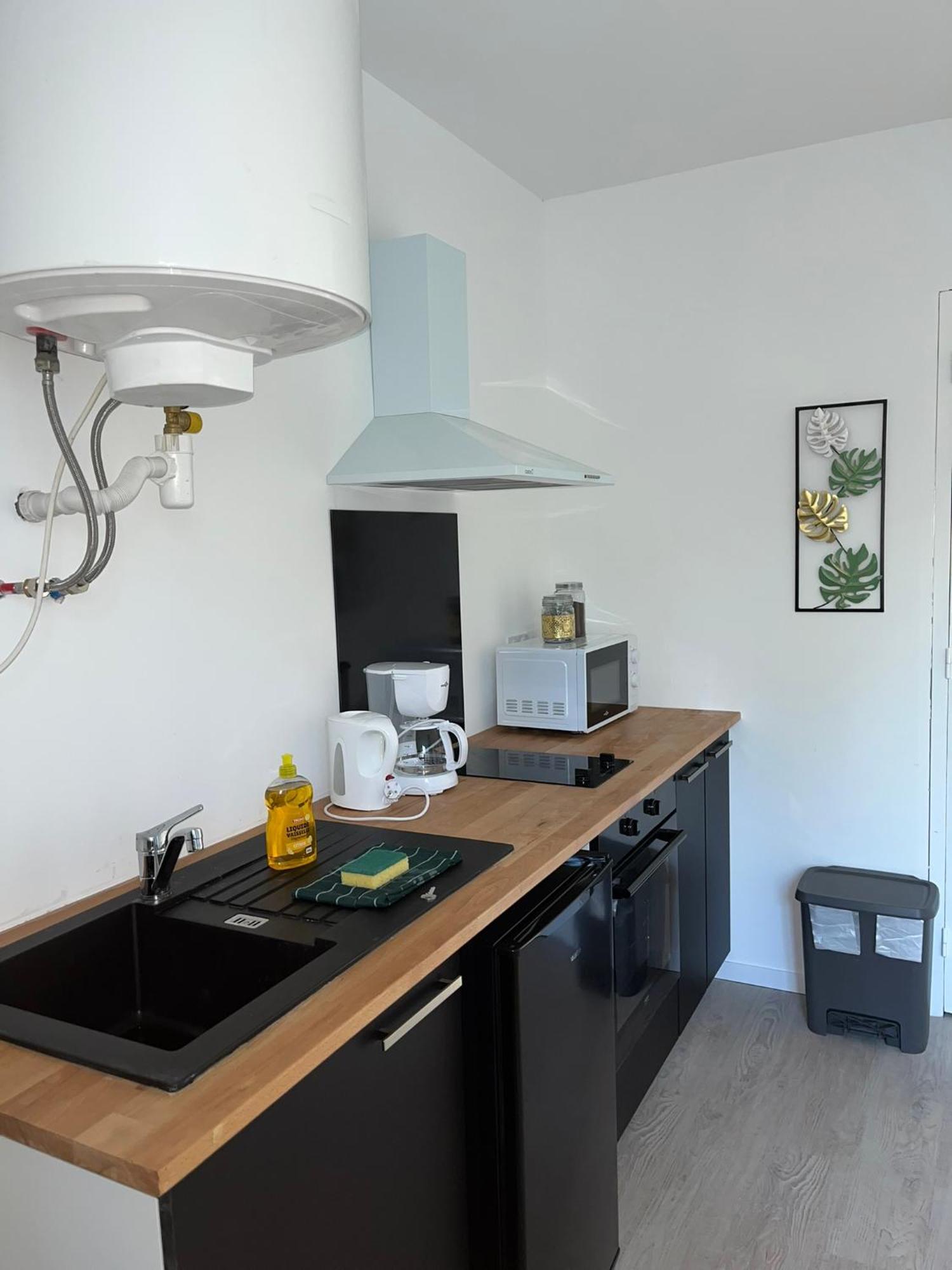 Studio Tropical , Vierzon , Proche Gare , Tout Confort Esterno foto