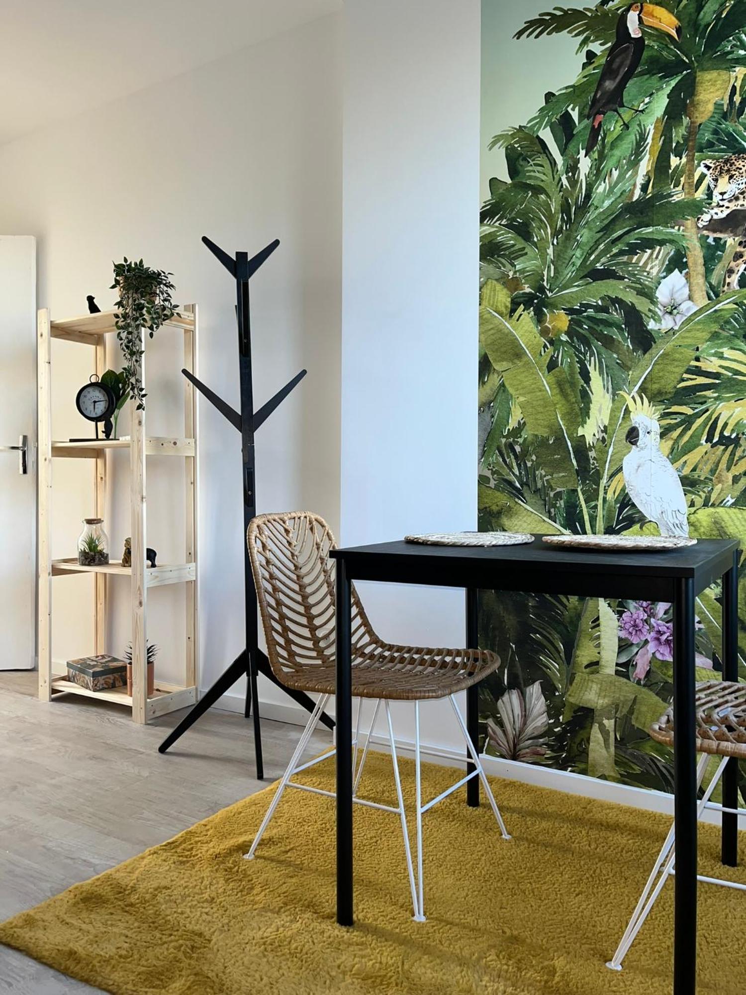Studio Tropical , Vierzon , Proche Gare , Tout Confort Esterno foto